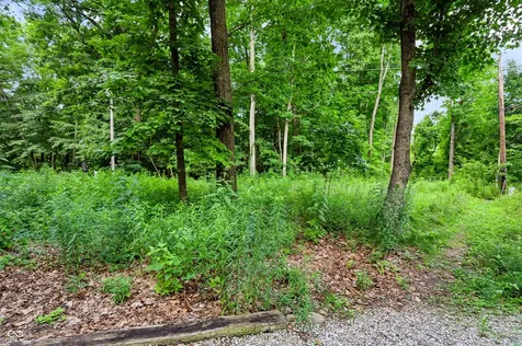 113 N White Horse Lane Fishers IN 46038