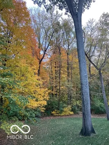 9729 Oakhaven Court Indianapolis IN 46256