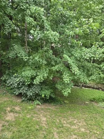 8508 Weaver Woods Fishers IN 46038