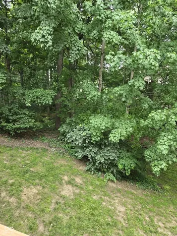 8508 Weaver Woods Fishers IN 46038