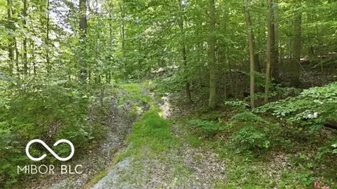 7746 N Tunnel Road Unionville IN 47468