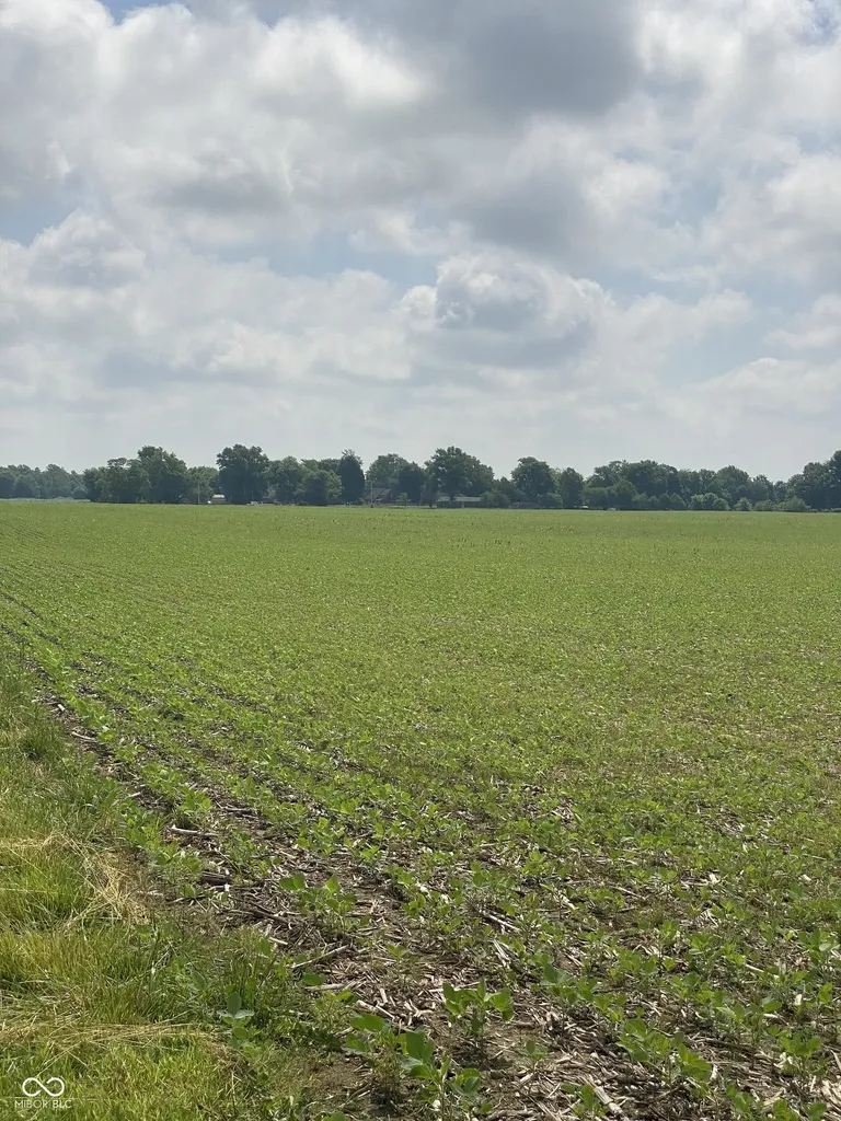 Tbd E State Road 236 North Salem IN 46165