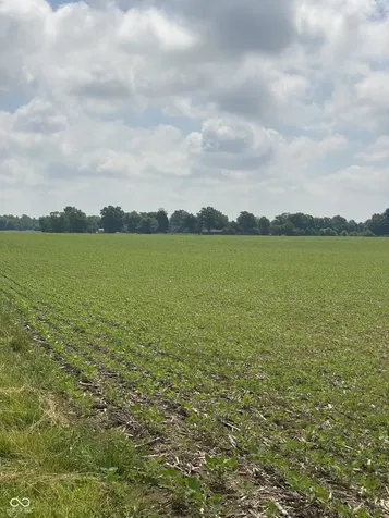 Tbd E State Road 236 North Salem IN 46165
