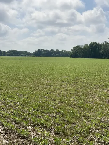 Tbd E State Road 236 North Salem IN 46165
