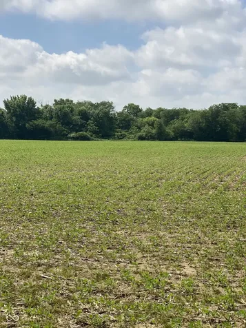 Tbd E State Road 236 North Salem IN 46165
