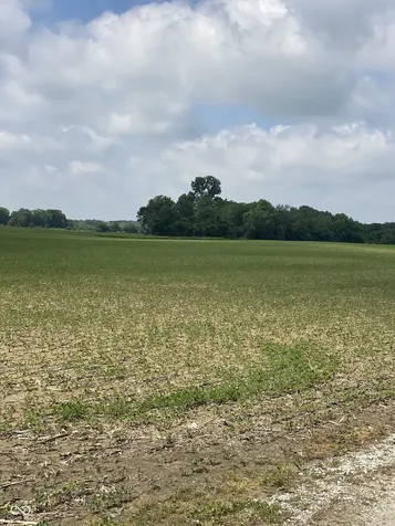 Tbd E State Road 236 North Salem IN 46165