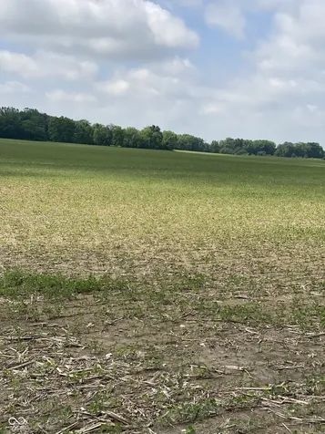 Tbd E State Road 236 North Salem IN 46165