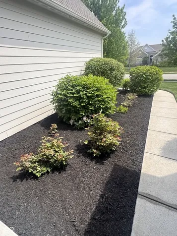 9208 Branch View Drive Indianapolis IN 46234