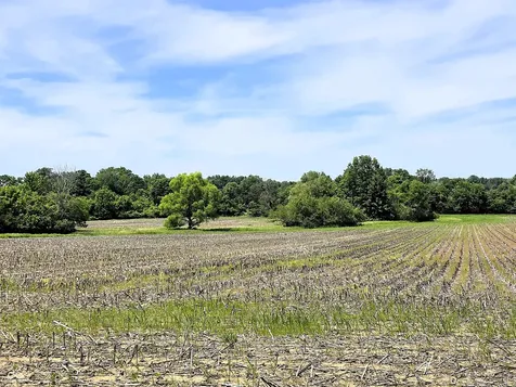 Lot 1 Legacy Estates At Paradise Martinsville IN 46151