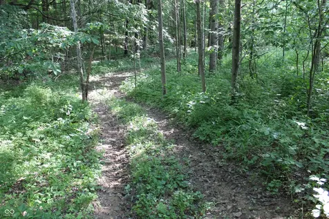 7684 W County Road 650 S Reelsville IN 46171