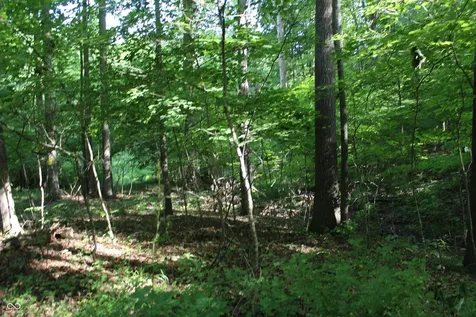 7684 W County Road 650 S Reelsville IN 46171
