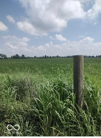 0 E 600 N Crawfordsville IN 47933