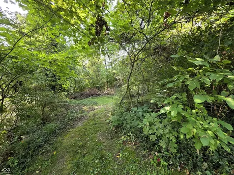 7335 Bethany Park Martinsville IN 46151