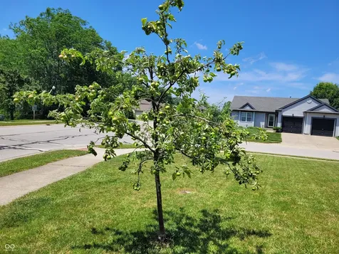 701 Summersby Lane Brownsburg IN 46112