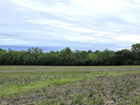 Lot 6 Legacy Meadows Martinsville IN 46151