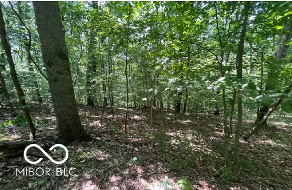 0 Cherry Court Martinsville IN 46151