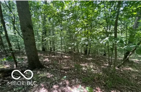 0 Cherry Court Martinsville IN 46151