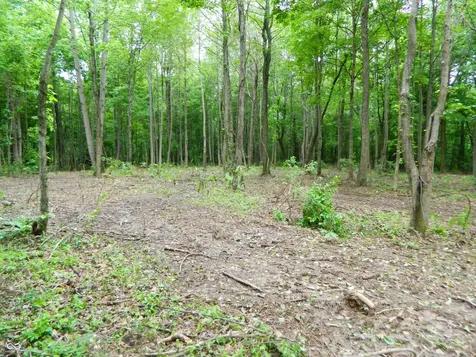 0 E County Road 700 N Seymour IN 47274