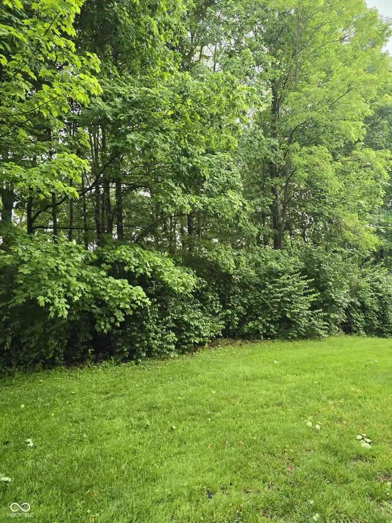 9895 Irishmans Run Lane Zionsville IN 46077