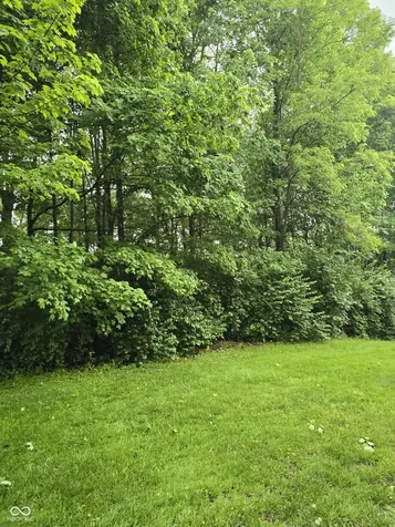9895 Irishmans Run Lane Zionsville IN 46077