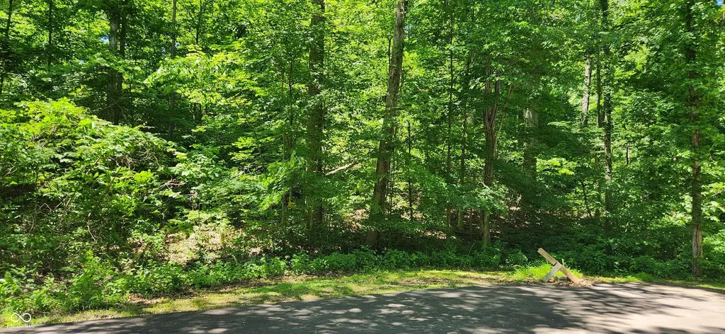 0 Sunnyslope South Court Martinsville IN 46151