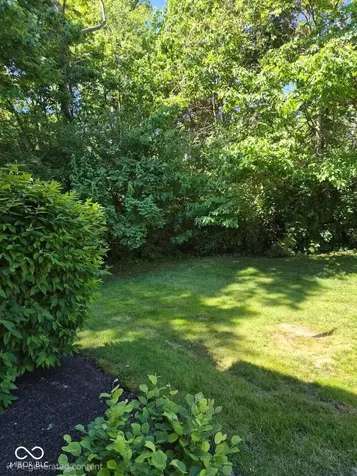 8349 Pine Branch Lane Indianapolis IN 46234