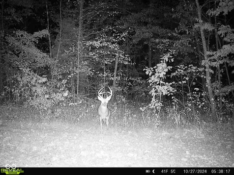835 S County Rd 460 W Paoli IN 47454
