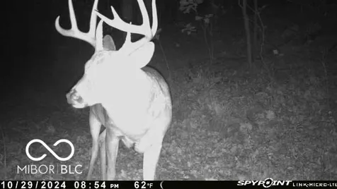 835 S County Rd 460 W Paoli IN 47454