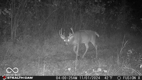 835 S County Rd 460 W Paoli IN 47454