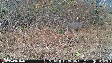 835 S County Rd 460 W Paoli IN 47454
