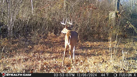 835 S County Rd 460 W Paoli IN 47454