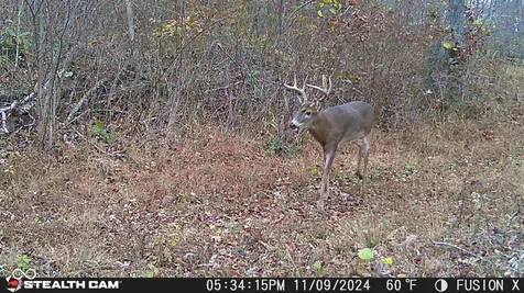 835 S County Rd 460 W Paoli IN 47454