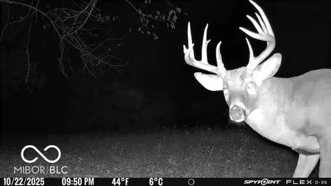 835 S County Rd 460 W Paoli IN 47454