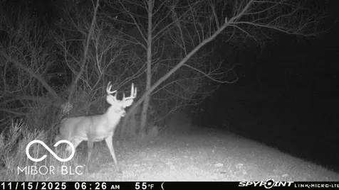 835 S County Rd 460 W Paoli IN 47454