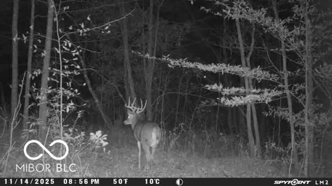 835 S County Rd 460 W Paoli IN 47454
