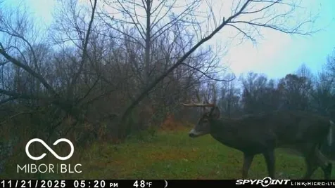 835 S County Rd 460 W Paoli IN 47454
