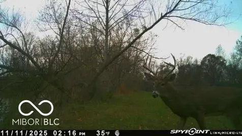 835 S County Rd 460 W Paoli IN 47454