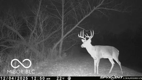835 S County Rd 460 W Paoli IN 47454