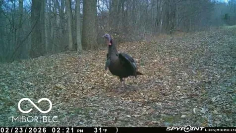 835 S County Rd 460 W Paoli IN 47454