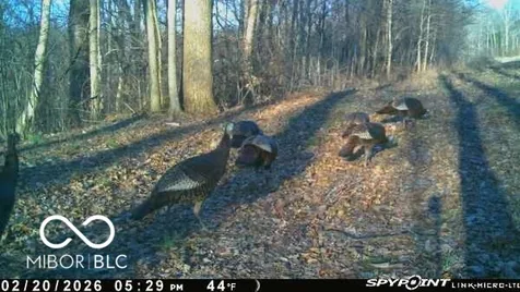 835 S County Rd 460 W Paoli IN 47454