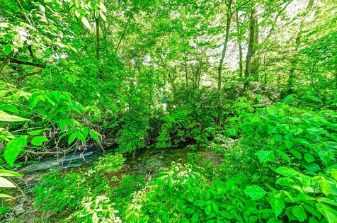 8740 Huggin Hollow Road Martinsville IN 46151