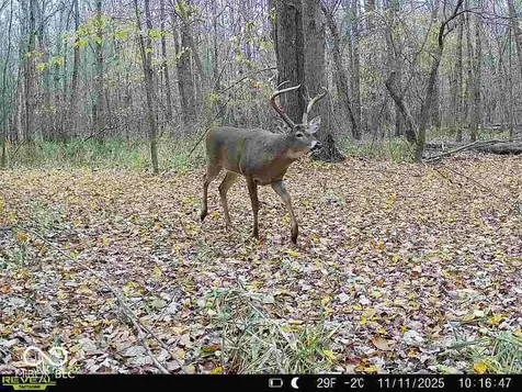 6000 E Block County Rd 1000 N Seymour IN 47274