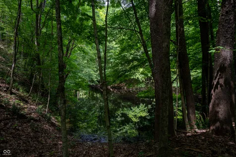 000 Salt Creek Road Nashville IN 47448