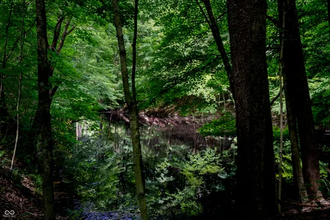 000 Salt Creek Road Nashville IN 47448