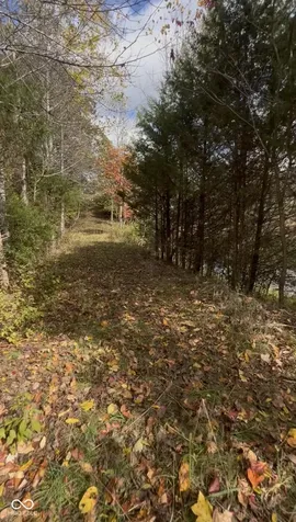 7120 Ford Ridge Road Nashville IN 47448