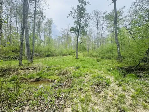 Lot 3 - Eagle View Mt Healthy Road Columbus IN 47201