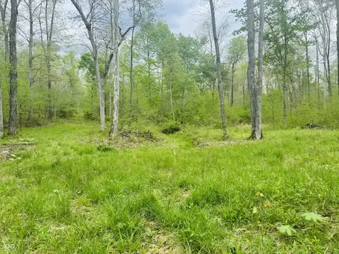 Lot 3 - Eagle View Mt Healthy Road Columbus IN 47201
