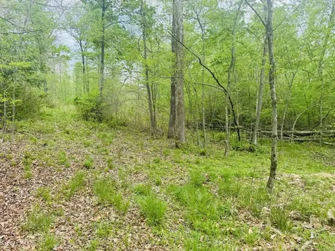 Lot 3 - Eagle View Mt Healthy Road Columbus IN 47201