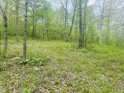 Lot 3 - Eagle View Mt Healthy Road Columbus IN 47201