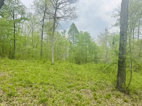Lot 3 - Eagle View Mt Healthy Road Columbus IN 47201